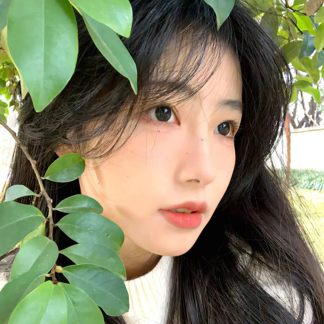 爱与死